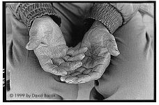 hands